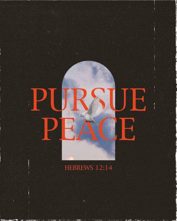 Pursue peace. – Hebrews 12:14