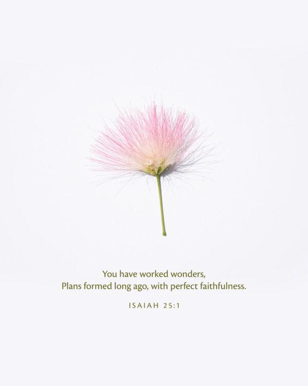 You have worked wonders, plans formed long ago, with perfect faithfulness. – Isaiah 25:1