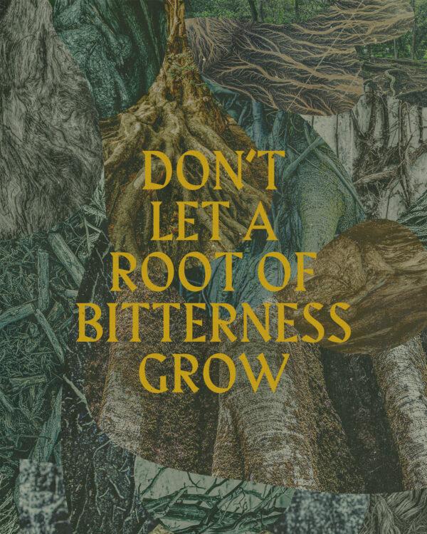 Don’t let a root of bitterness grow