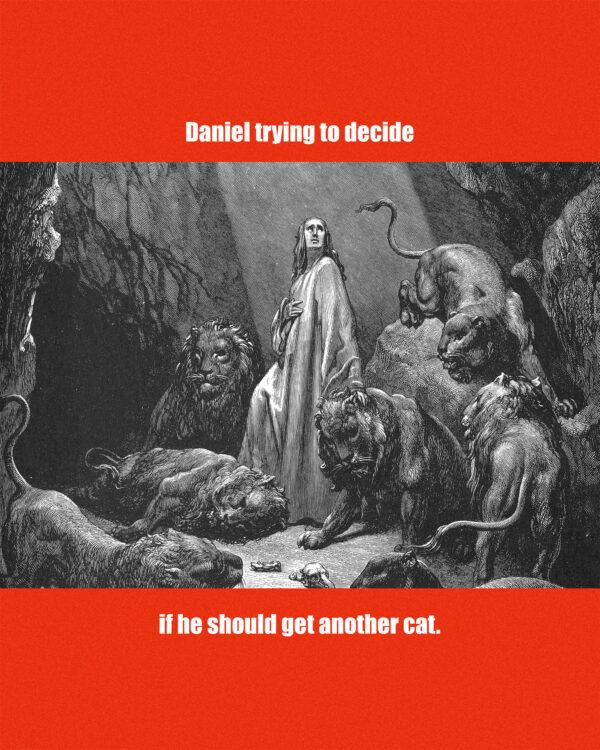 Daniel trying to decide if he should get another cat.