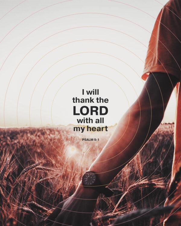 I will thank the LORD with all my heart. – Psalm 9:1