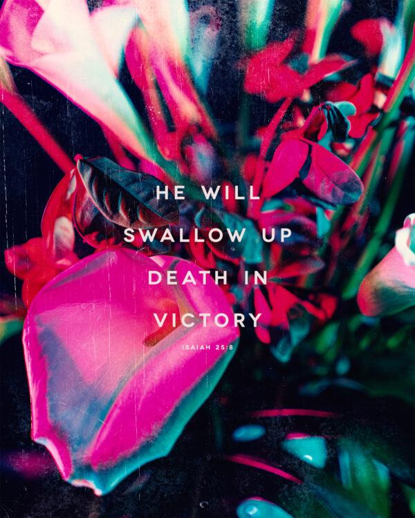 He will swallow up death in victory. – Isaiah 25:8