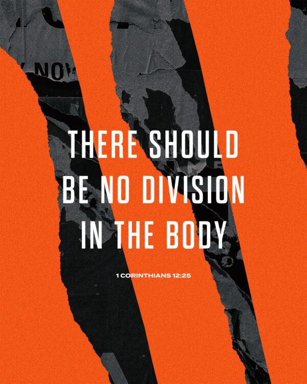 There should be no division in the body. – 1 Corinthians 12:25