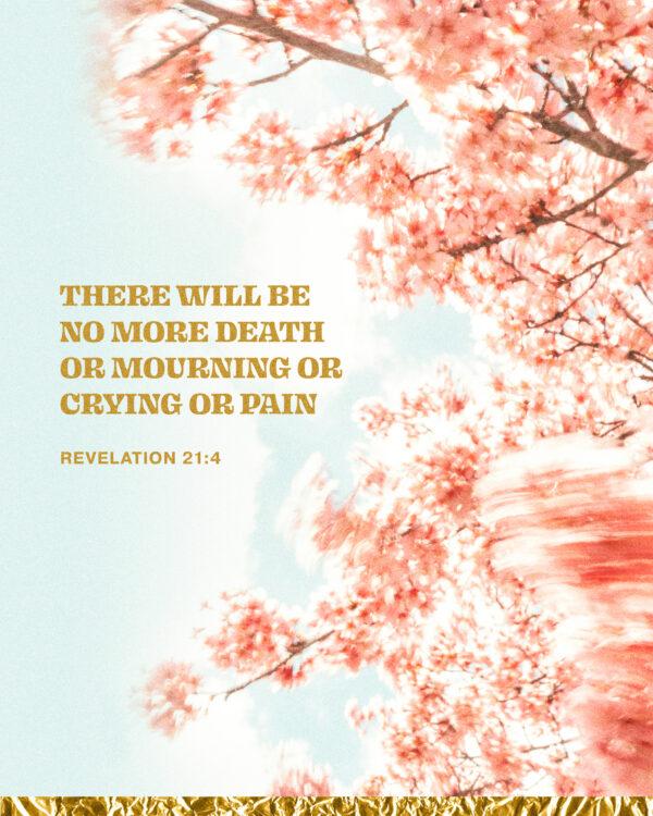 There will be no more death or mourning or crying or pain. – Revelation 21:4