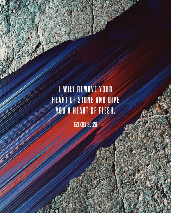 I will remove your heart of stone and give you a heart of flesh. – Ezekiel 36:26