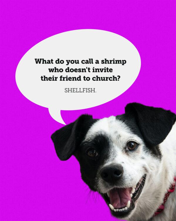 What do you call a shrimp who doesn’t invite their friend to church? Shellfish.