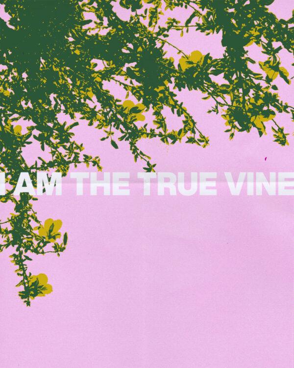 Jesus: I am the true vine