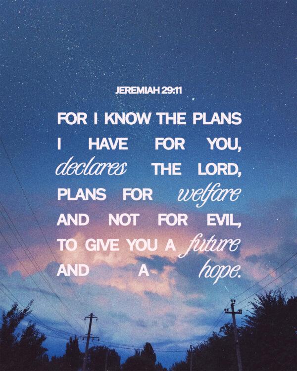 For I know the plans I have for you, declares the LORD, plans for welfare and not for evil, to give you a future and ...