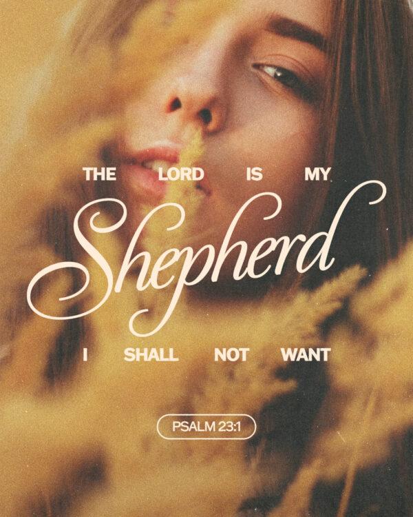 The LORD is my shepherd; I shall not want. – Psalm 23:1