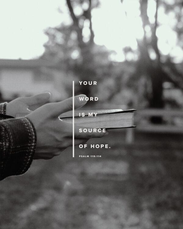 Your word is my source of hope. – Psalm 119:114