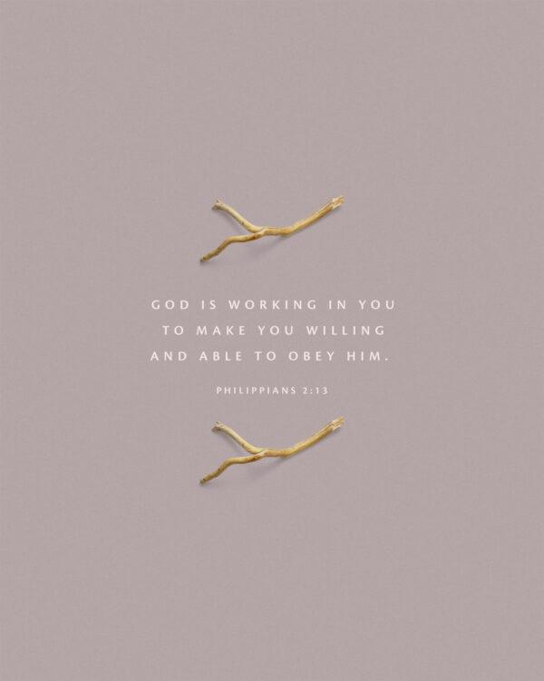 God is working in you to make you willing and able to obey him. – Philippians 2:13