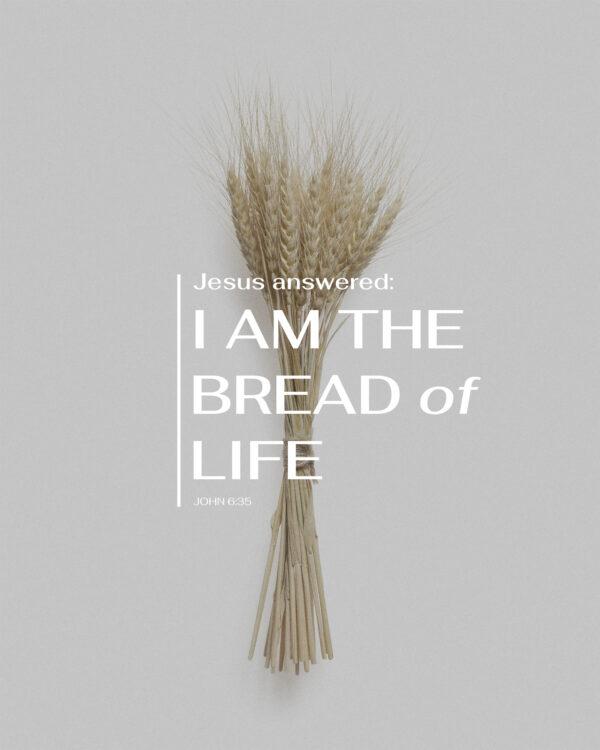 Jesus answered: I am the bread of life. – John 6:35