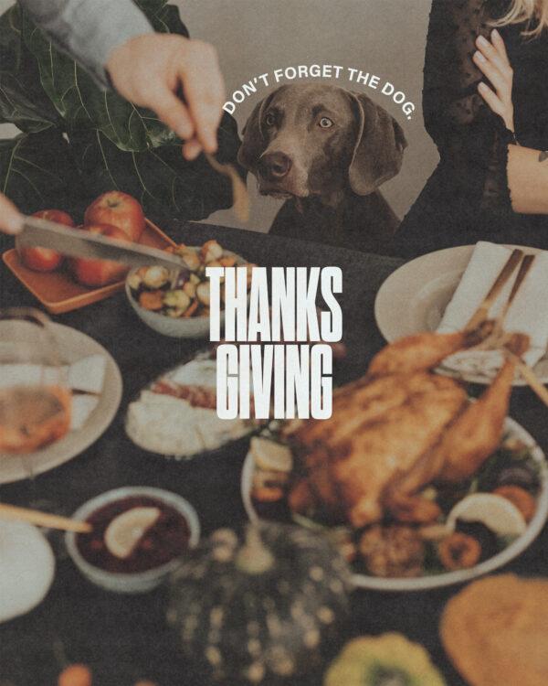 Thanksgiving. Don’t forget the dog.