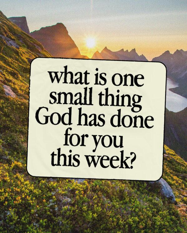 What is one small thing God has done for you this week?