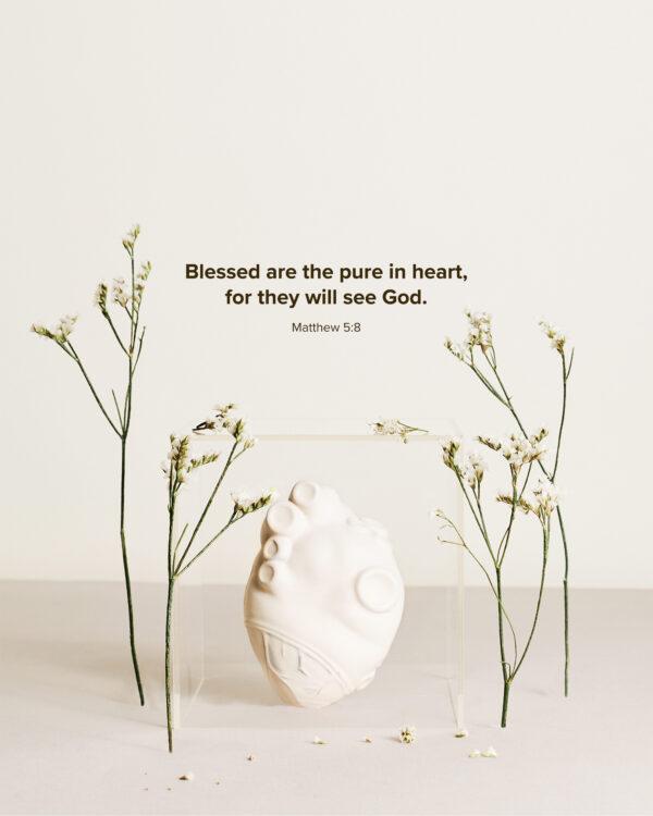 Blessed are the pure in heart, for they will see God. – Matthew 5:8