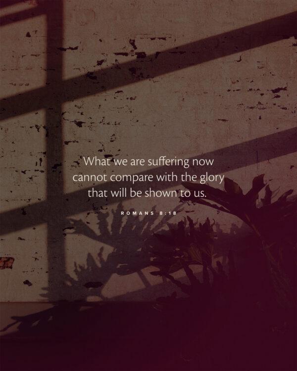 What we are suffering now cannot compare with the glory that will be shown to us. – Romans 8:18