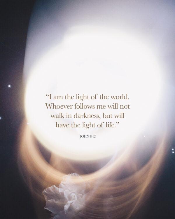 I am the light of the world. Whoever follows me will not walk in darkness, but will have the light of life. – J...