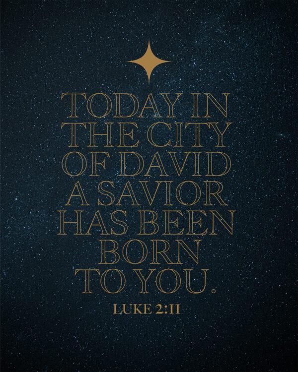 Today in the city of David a Savior has been born to you. – Luke 2:11