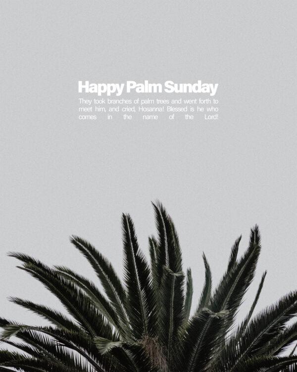 Happy Palm Sunday. They took branches of palm trees and went forth to meet him, and cried, Hosanna! Blessed is he who...