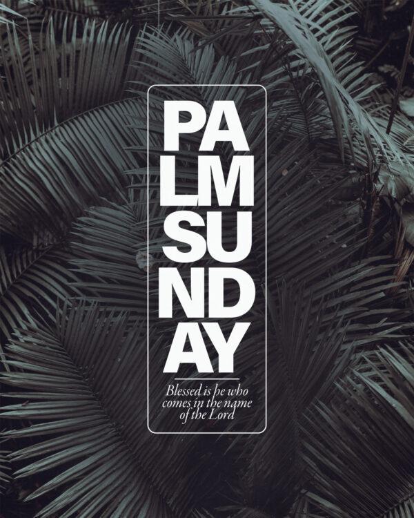 Palm Sunday. Blessed is he who comes in the name of the Lord.