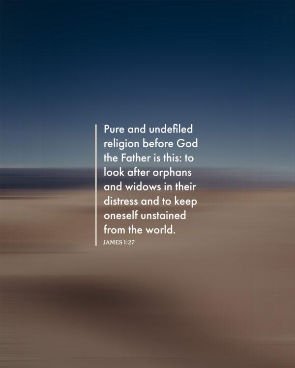 Pure and undefiled religion before God the Father is this: to look after orphans and widows in their distress and to ...