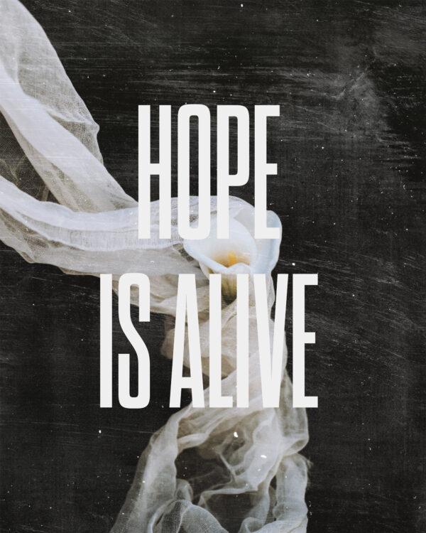 Hope is Alive