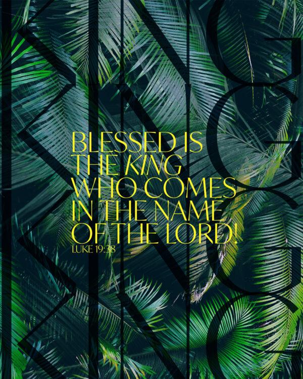 Blessed is the King who comes in the name of the Lord! – Luke 19:38