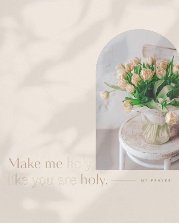 Make me holy like you are holy.