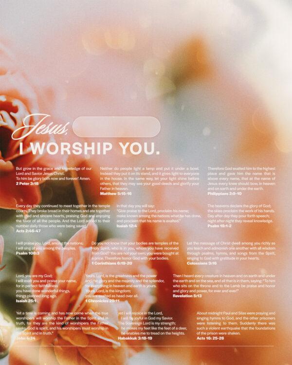 Jesus, I worship you.