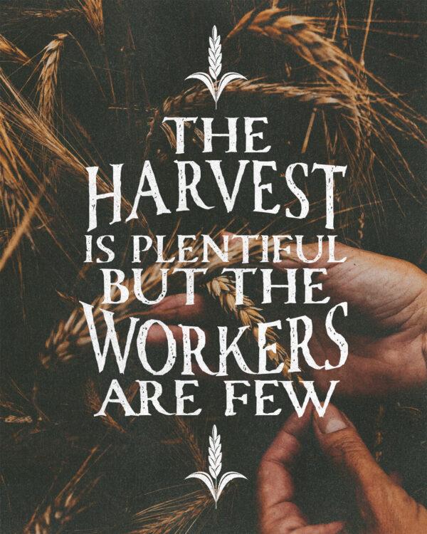 “The harvest is plentiful but the workers are few.” – Matthew 9:37