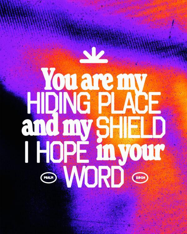 “You are my hiding place and my shield; I hope in your word.” – Psalm 119:114