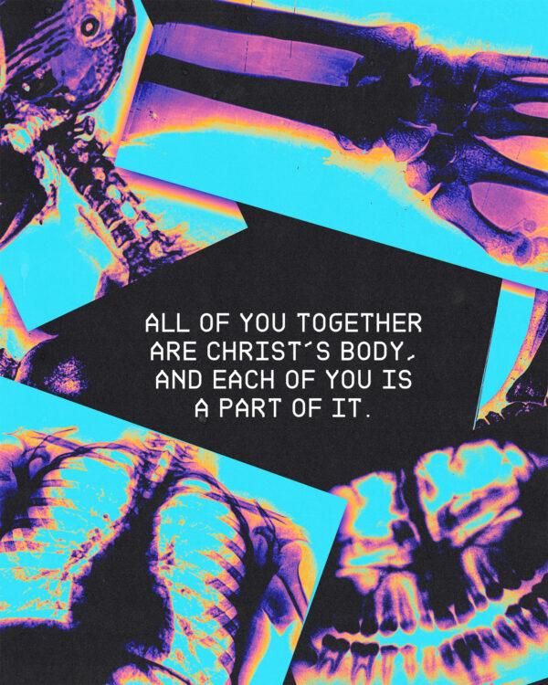 “All of you together are Christ’s body, and each of you is a part of it.” – 1 Corinthians 12:27