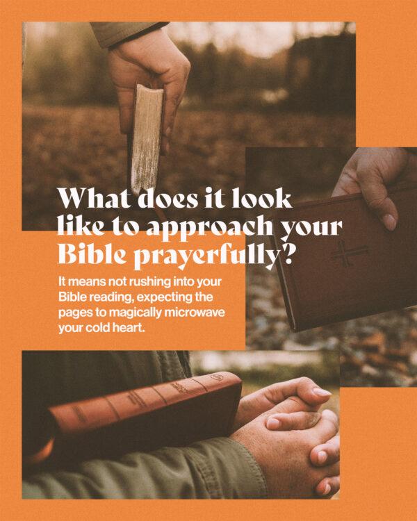 “What does it look like to approach your Bible prayerfully? It means not rushing into your Bible reading, expec...