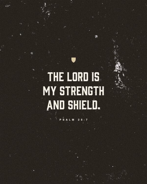 “The LORD is my strength and shield.” – Psalm 28:7