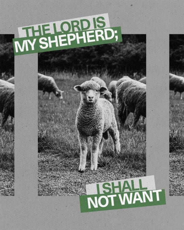 “The LORD is my shepherd; I shall not want.” – Psalm 23:1