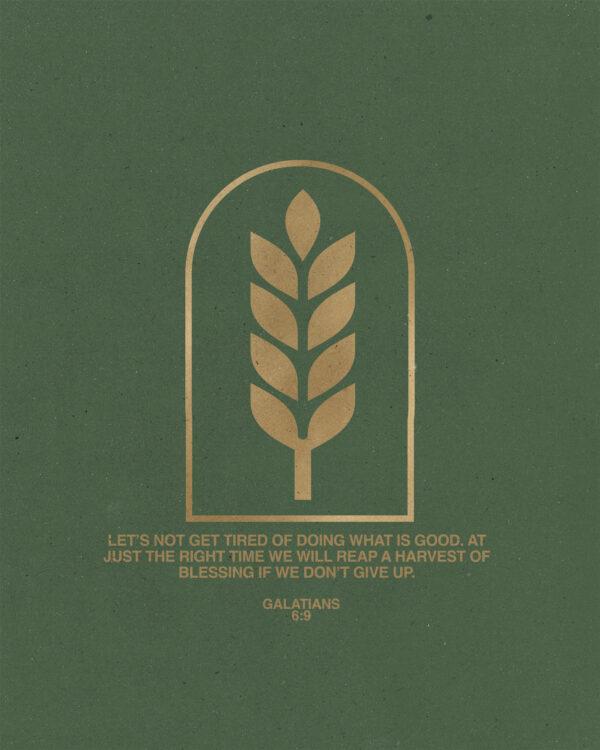 “Let’s not get tired of doing what is good. At just the right time we will reap a harvest of blessing if we don...