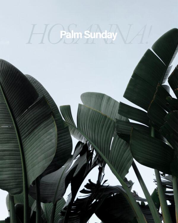 Hosanna! Palm Sunday