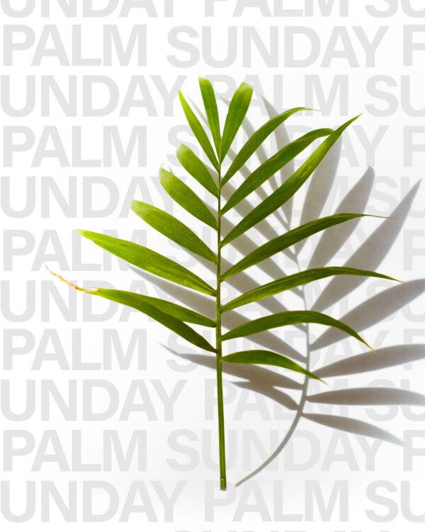 Palm Sunday