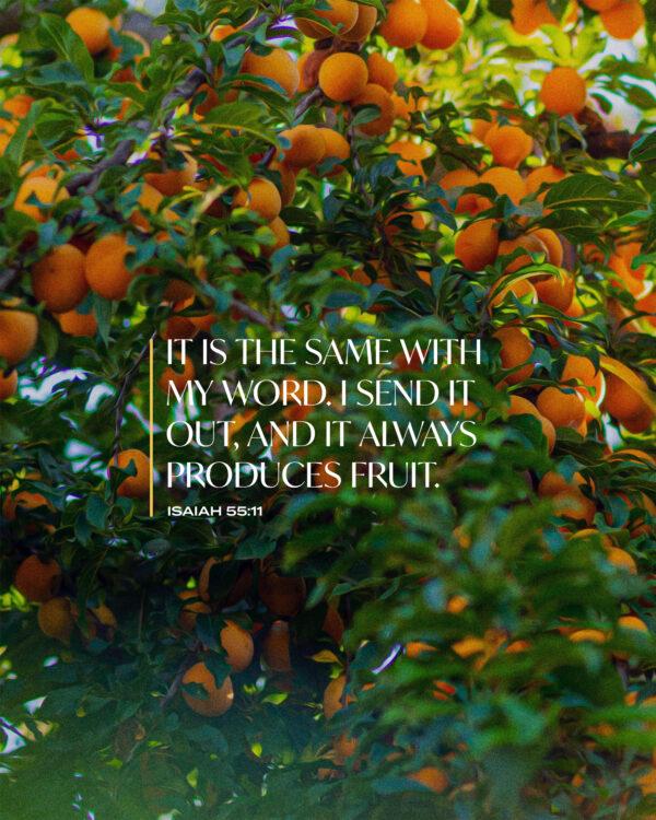 “It is the same with my word. I send it out, and it always produces fruit.” – Isaiah 55:11