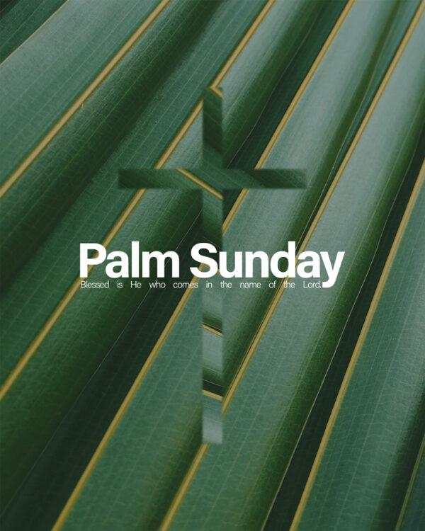 Palm Sunday. Blessed is He who comes in the name of the Lord.