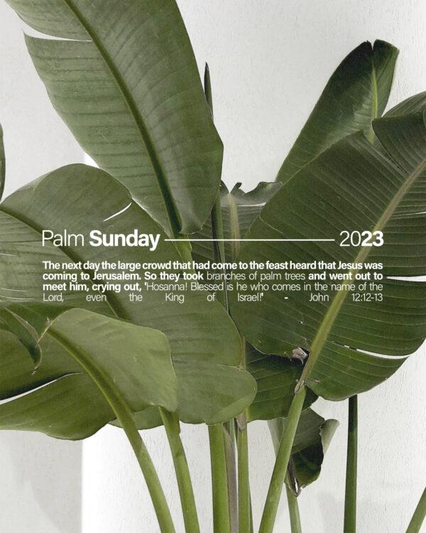 Palm Sunday 2023. The next day the large crowd that had come to the feast heard that Jesus was coming to Jerusalem. S...