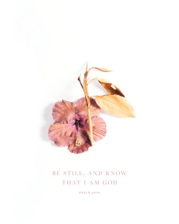 “Be still, and know that I am God.” – Psalm 46:10