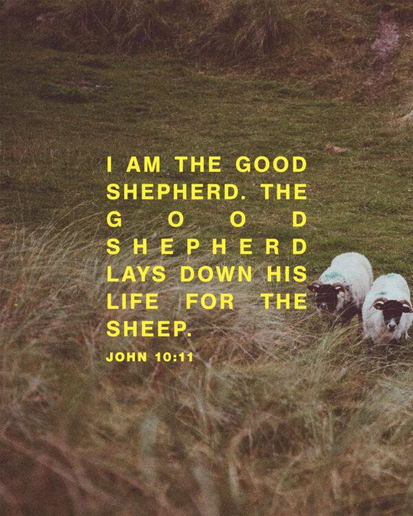 “I am the good shepherd. The good shepherd lays down his life for the sheep.” – John 10:11