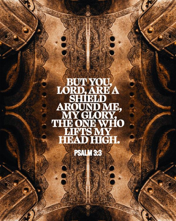 “But you, Lord, are a shield around me, my glory, the One who lifts my head high.” – Psalm 3:3