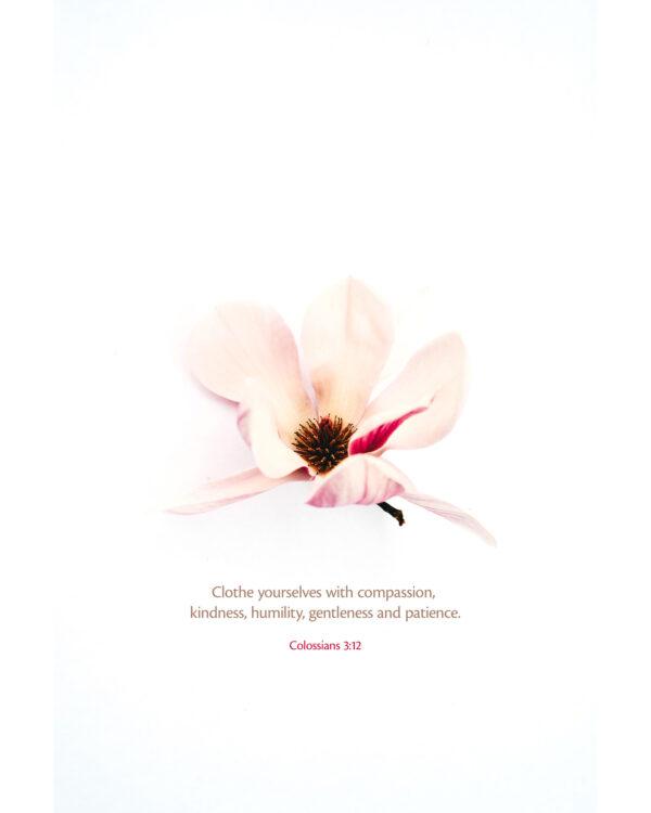 “Clothe yourselves with compassion, kindness, humility, gentleness and patience.” – Colossians 3:12