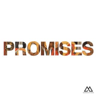 Promises (Radio Version)