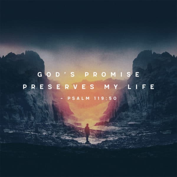 God’s promise preserves my life. – Psalm 119:50