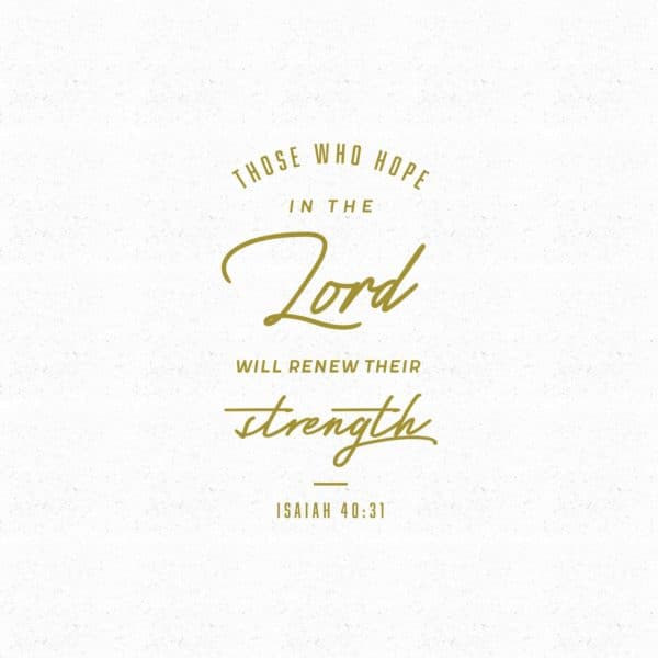 Those who hope in the Lord will renew their strength. – Isaiah 40:31