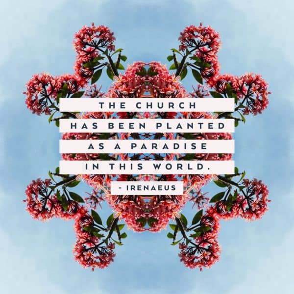 The church has been planted as a paradise in this world.- Irenaeus