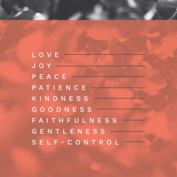 Love, joy, peace, patience, kindness, goodness, faithfulness, gentleness, self-control.